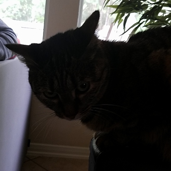 Craig Dodds - Poshmark Profile Picture of Craig Dodds (@skinnyghost) on Poshmark