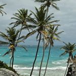 Profile Picture of Danny (@dkmeade) on Instagram