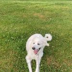 Profile Picture of Maria Luvianos (@maria.luvianos.3) on Instagram