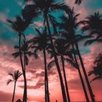 Profile Picture of sade joseph (@_queen__sade_) on Instagram