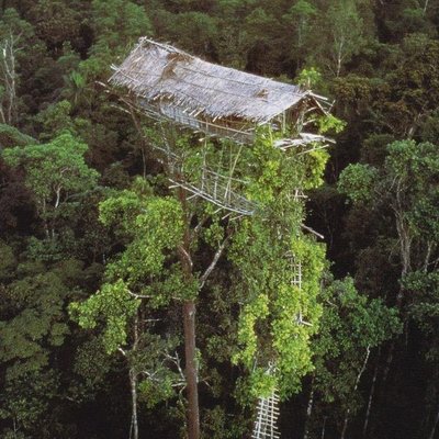 Profile Picture of Severin Sean (@sean_severin) on Twitter