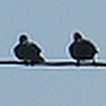 Profile Picture of Martin Lopez (@jarocho.sol@sbcglobal.net) on Flickr