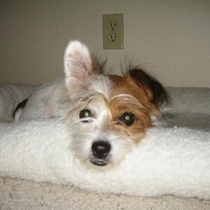 Profile Picture of Janet Holiday (@382117572) on Myspace