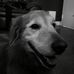 Profile Picture of John Paul O'hearn (@john.p.ohearn) on Facebook