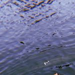 Profile Picture of Brianna (@brianna.ebert) on Instagram