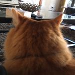 Profile Picture of Darren Cleary (@darren.cleary.12) on Instagram