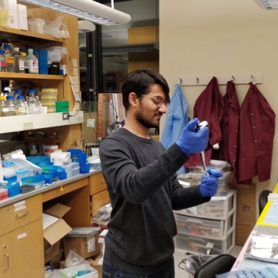Profile Picture of Rishabh Singh (@BioenggSingh) on Twitter
