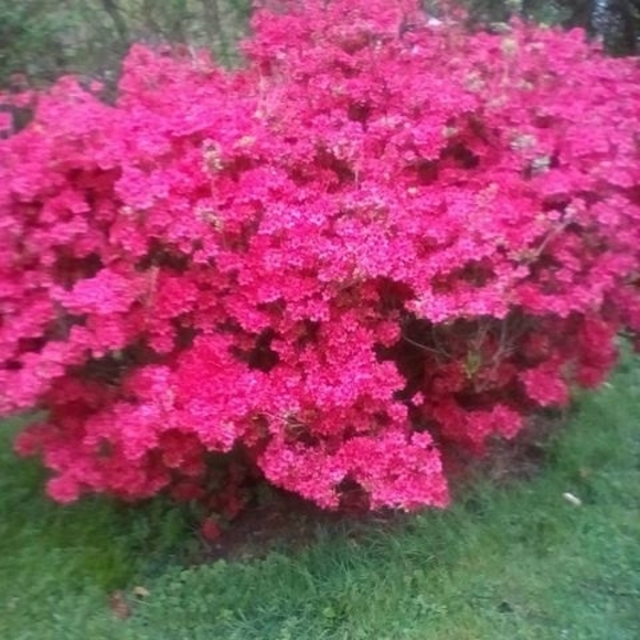 Vicky Woods - Poshmark Profile Picture of Vicky Woods (@vickywoods375) on Poshmark