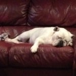 Profile Picture of Renee Zimmerman (@onetimeatharvard) on Instagram