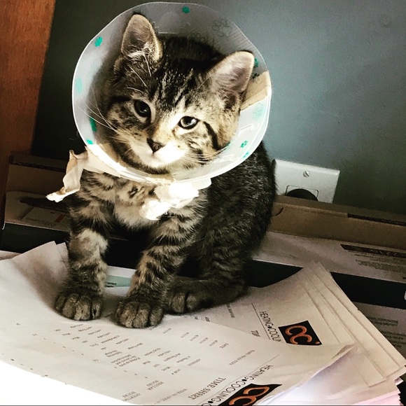 Profile Picture of Jutta Gruenewald (@gruenewj) on Poshmark