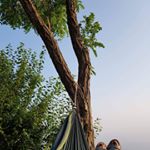 Profile Picture of Monica Costanzo (@monica.costanzo) on Instagram