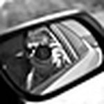 Profile Picture of Travis Nelson (@padany) on Flickr