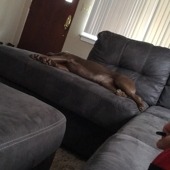 Profile Picture of John Mccormick (@johnmccormic402) on Poshmark