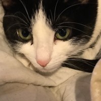 Profile Picture of Andy Jean-francois (@andy-jean-francois) on Quora