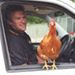 Profile Picture of Steven Donohue (@stevendonohue65) on Pinterest