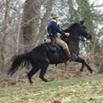 Profile Picture of Cody Faber (@fabercody) on Instagram