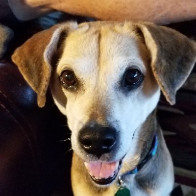 Profile Picture of Jim Maher (@jimmaher) on Twitter