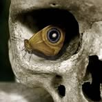 Profile Picture of Todd Geiger (@Todd-Geiger) on Facebook