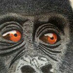Profile Picture of David Tarry (@dmtarry) on Instagram