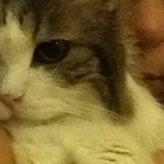 Laura Bazell - Instagram Profile Picture of Laura Bazell (@lbazell) on Instagram