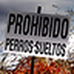 Profile Picture of David Vicente Ranz (@David Vicente Ranz) on Flickr