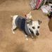 Profile Picture of Scott Underdahl (@scott.underdahl.1) on Facebook