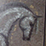 Profile Picture of Traci Jackson (@t_bird1) on Flickr