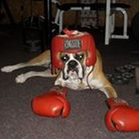 Profile Picture of William Cahill (@william-cahill-12) on Quora