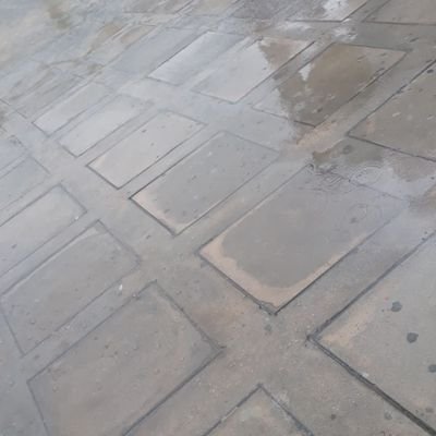 Profile Picture of Peter J Melendez (@PeterJMelendez1) on Twitter