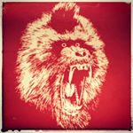 Thomas Becher - Instagram Profile Picture of Thomas Becher (@thomasbecher) on Instagram