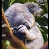Profile Picture of Andreas Schneider (@@andibrow386) on Tiktok