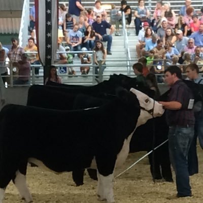 Profile Picture of Scott Halpin (@HalpinScott) on Twitter