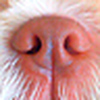 Profile Picture of Bill Blackmon (@Bill Blackmon) on Flickr