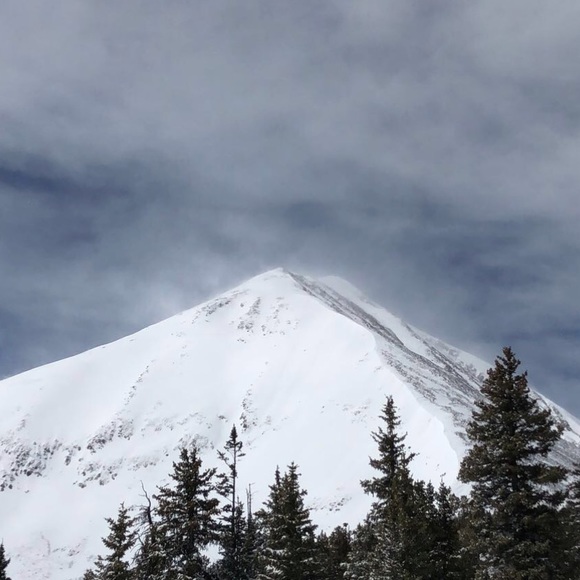 Profile Picture of Sam Hastings (@samdhastings) on Poshmark