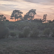 Profile Picture of Daniel May (@DanielMay-j3n) on Youtube