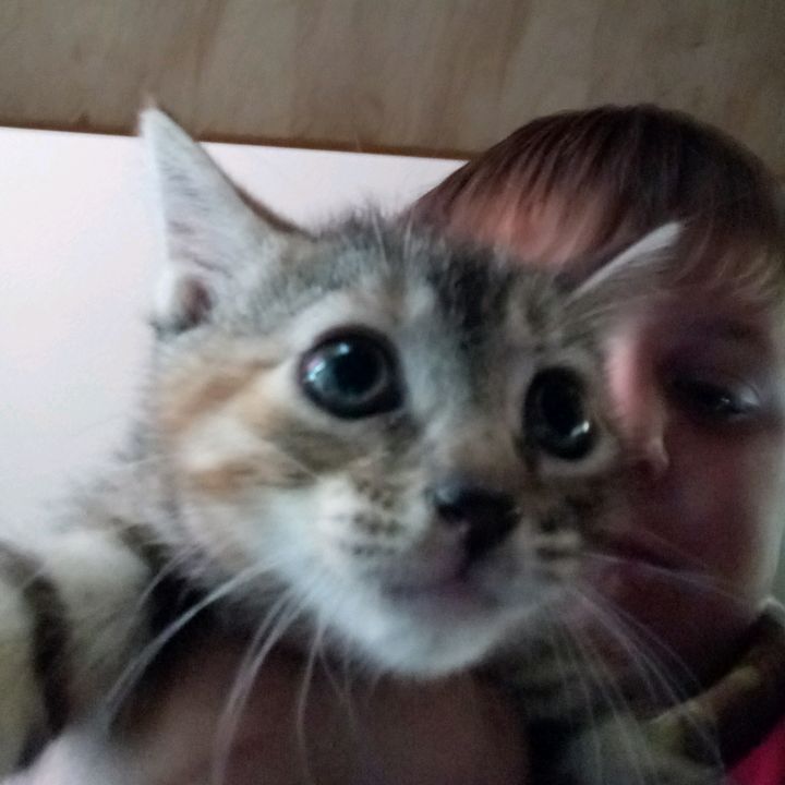 Profile Picture of matthewrookstool3 (@matthewrookstool3) on Tiktok