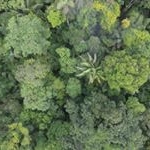 Profile Picture of Patrick Champagne (@canadian_explorer) on Instagram