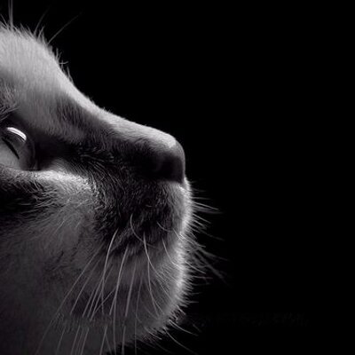 Profile Picture of 溪瑭 (@JoannaTangC) on Twitter