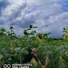 Profile Picture of   Nguyễn Thị Minh Nguy... (@minhnguyet0708) on Tiktok