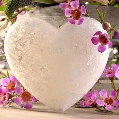 Profile Picture of Lisa Constanzo (@constanzo_lisa) on Twitter