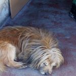 Profile Picture of Hugo Dragão Branco Manuel (@hugorolo1976) on Instagram