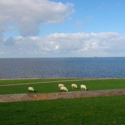 Profile Picture of Karl-Rüdiger (@KarlRdiger2) on Twitter