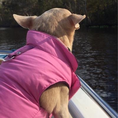 Profile Picture of J Nestor (@jonestor12) on Twitter