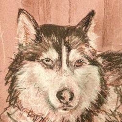 Profile Picture of Kathryn Armstrong (@cybersibesk) on Twitter