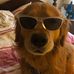 Profile Picture of Andrew Posselt (@andrew.posselt.9) on Facebook