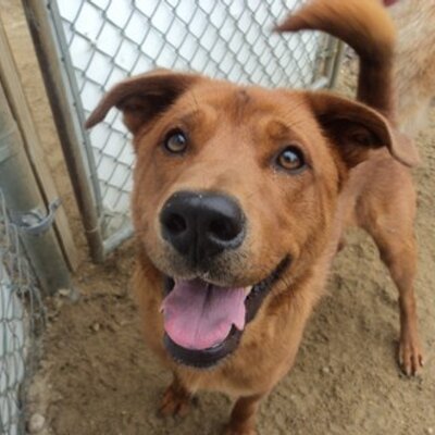 Profile Picture of Andrew Philippe (@BIGA054) on Twitter