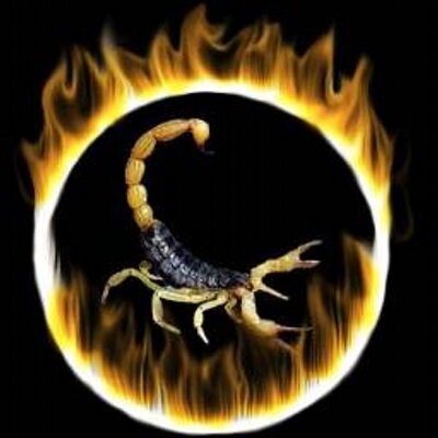 Profile Picture of Hamid Rad (@hamidrad98) on Twitter