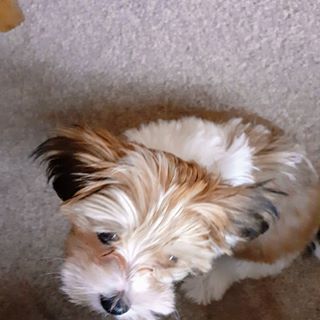 Profile Picture of James Twort (@james.twort.3) on Facebook