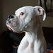 Profile Picture of Travis K (@walter3134) on Pinterest