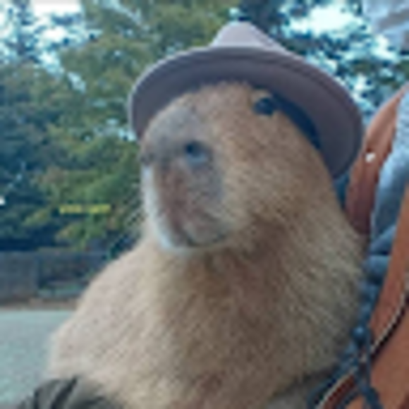 Profile Picture of Faron Mcgaughey (@faronmcgaughey) on Poshmark